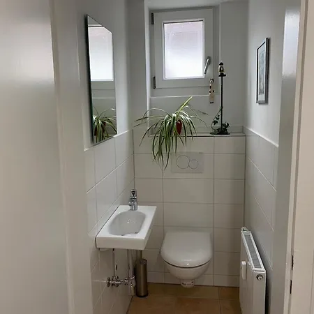 Апартаменты Rheingold *